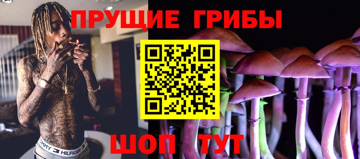 Галлюциногенные грибы Cubensis Прокопьевск