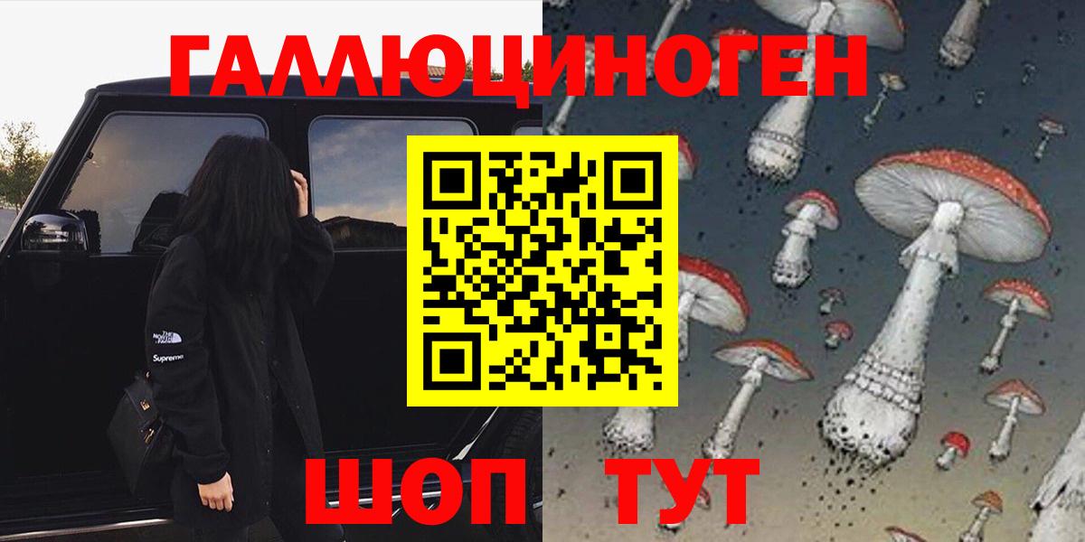 Псилоцибиновые грибы Psilocybe  закладки  Прокопьевск 